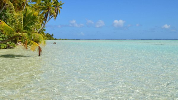 Explorez les Campings Idéaux pour les Amateurs de Pêche : Activités Incontournables et Souvenirs Exceptionnels