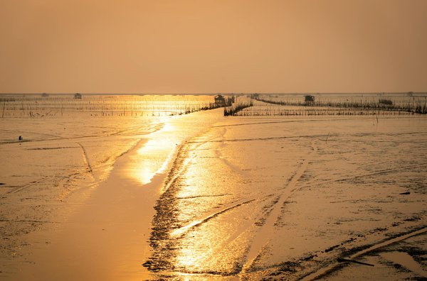 N°1 du matelas gonflable : l'innovation en plein air